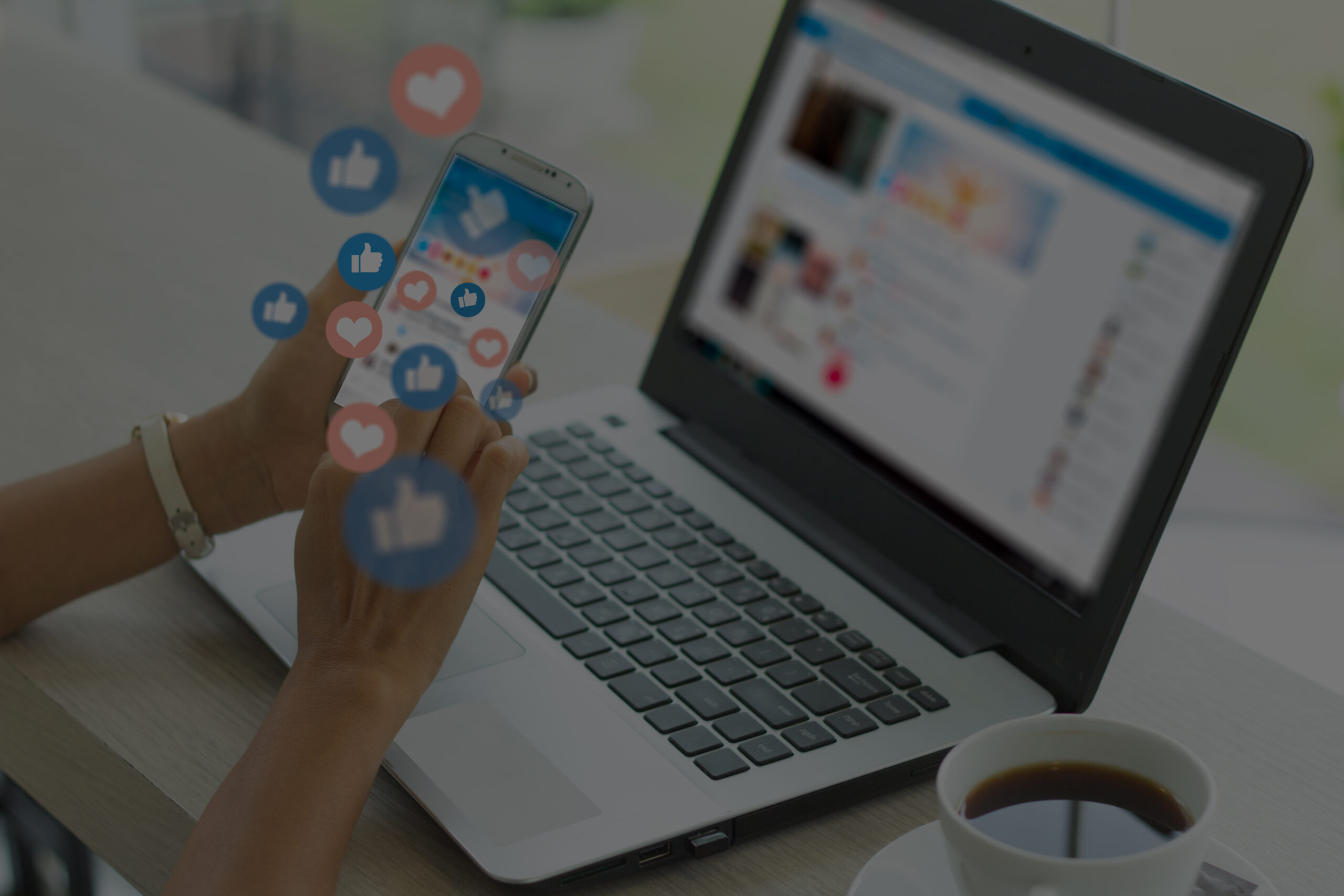 Startseite • Ankom Group